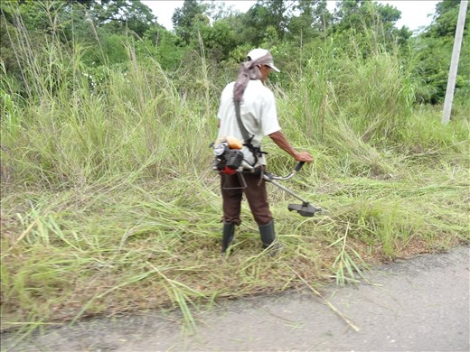 Road edge trimming manually - no tractor used here