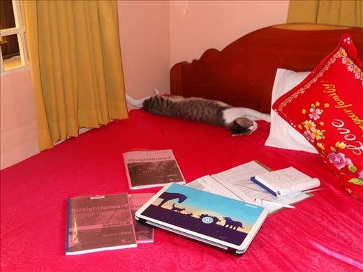 Miffy helping me with my lesson plans