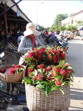 Lots of fresh produce here. Beautiful delicious rambutans: by gina_holley, Views[998]
