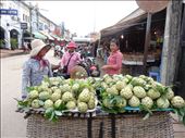 Custard apples are now the seasonal fruit. Lovely taste but too many big pips : by gina_holley, Views[274]