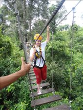One of the sky walks - 45m off the jungle floor: by gina_holley, Views[209]