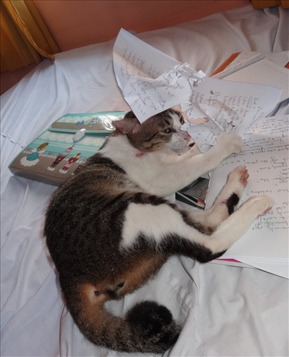 Miffy helping me mark the students exams