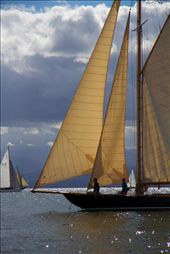 by ginkgomedia, Views[752]