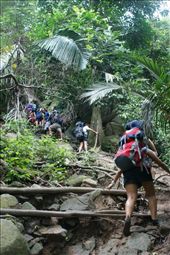 The trail: by girlonthemove, Views[151]