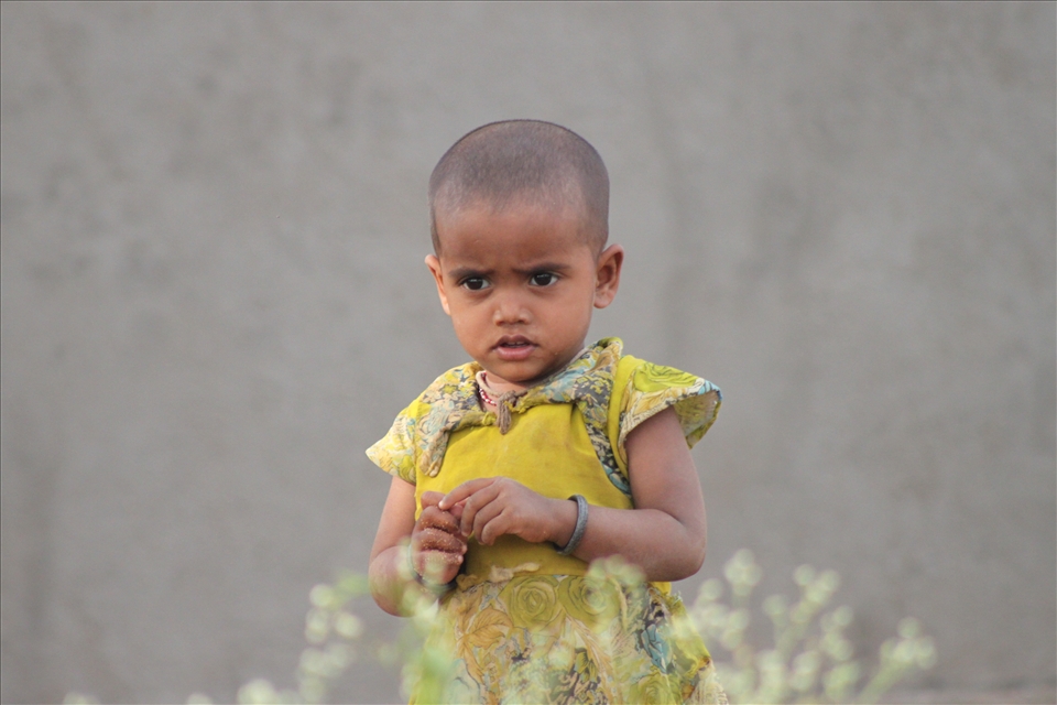 Young child wandering through a field of urban green.