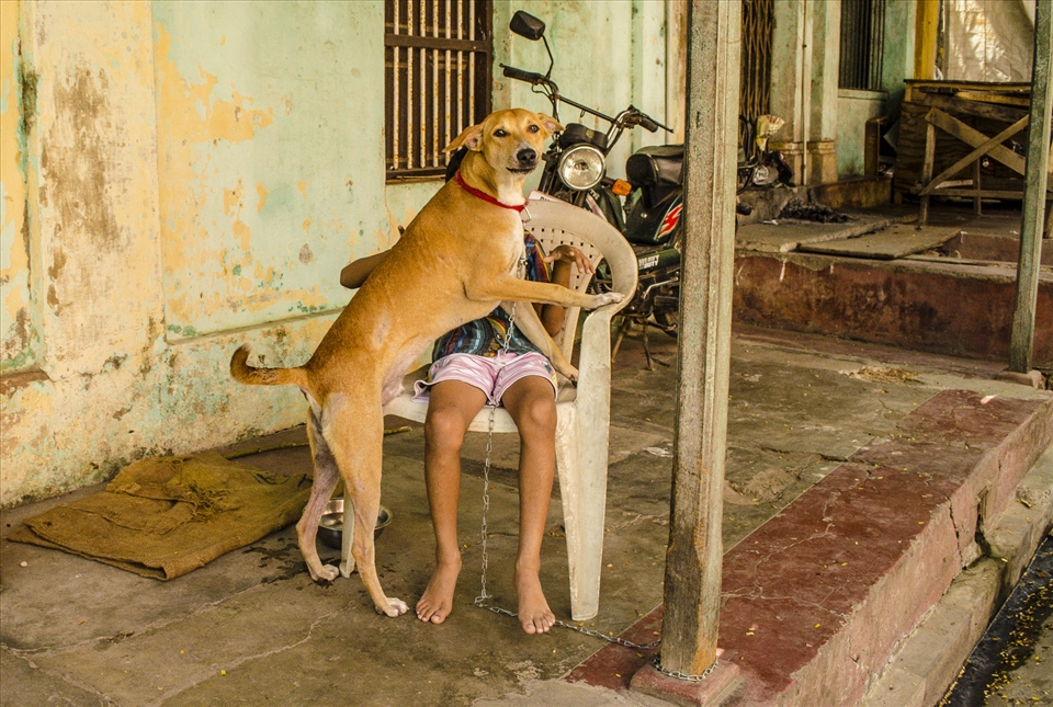 A loyal canine warm and playful, the next moment becoming fiercely protective of his master as he spots a prying camera. Pondicherry, India