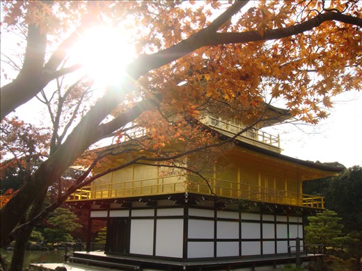 Golden temple, golden leaves, golden sun. Kyoto, Japan. November 2009.