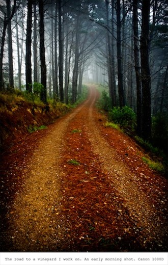 The road to the vineyard I work on. Canon 1000D
