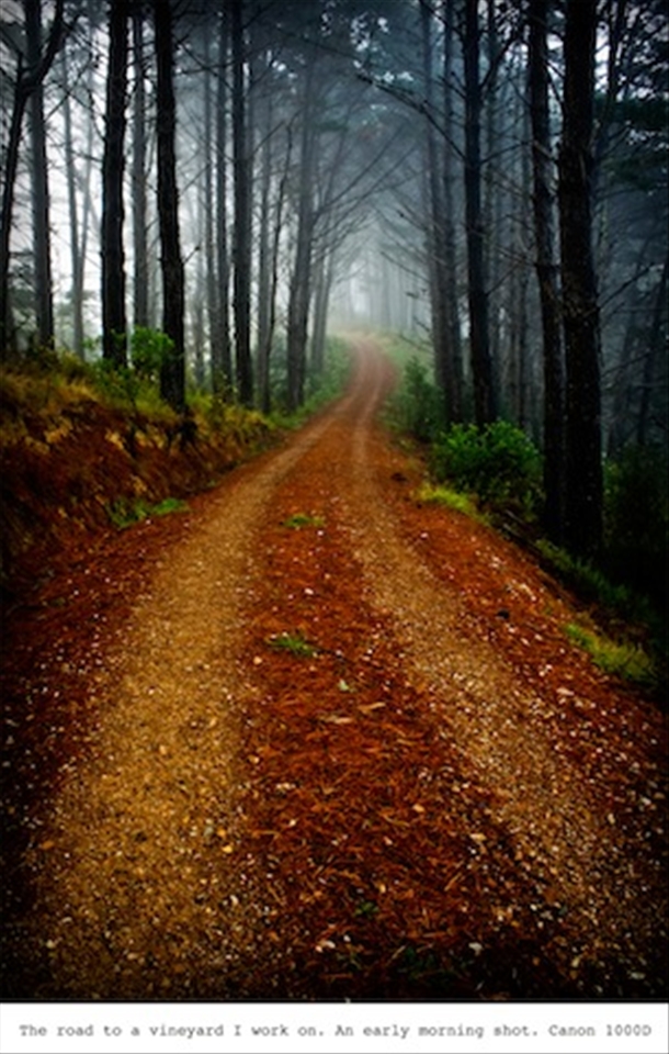 The road to the vineyard I work on. Canon 1000D