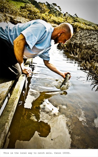 This is how the locals catch eels on Waiheke.  Canon 1000D