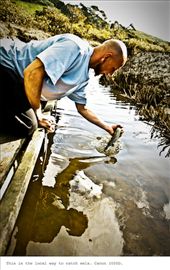 This is how the locals catch eels on Waiheke.  Canon 1000D: by gjc3355, Views[386]