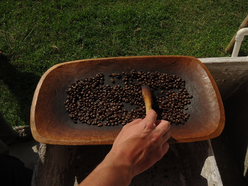 Drying the toasted coffee that we collected and pealed, almost ready to drink it