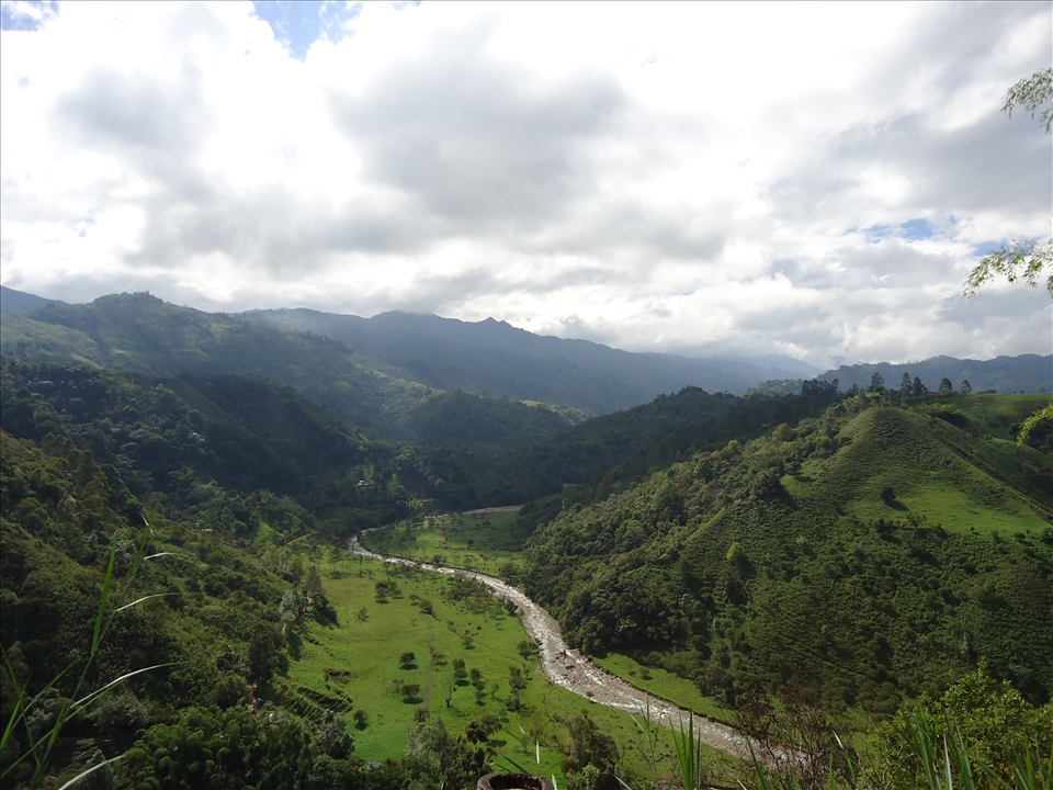 On our way to a coffe farm, a 5 hours walk from Salento