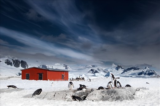 A refuge hut lies dormant on Petermann Island along the Antarctic Peninsula. This seemingly unremarkable building would surely be the brightest beacon of hope for displaced and desperate explorers.