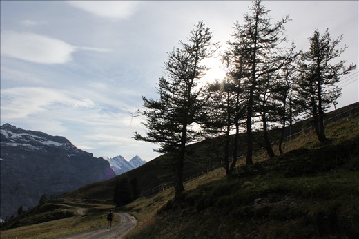 You could walk this track thousands of times and always walk in awe