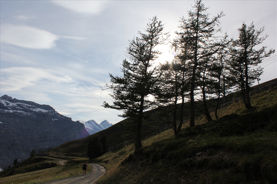 You could walk this track thousands of times and always walk in awe