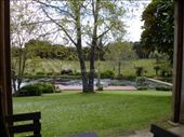 Marsden winery near Kerikeri airfield: by globalgabi, Views[390]