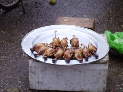grilled small birds