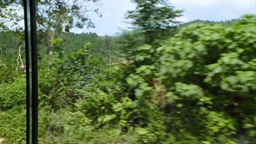 driving from Dong Hoi to the Caves