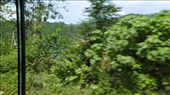 driving from Dong Hoi to the Caves: by globalgabi, Views[280]