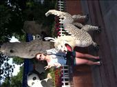 Taiyuan Zoo: by globalspirit, Views[172]