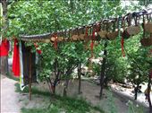  wishing locks at Meng Shen: by globalspirit, Views[205]