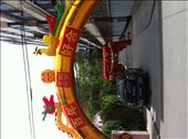 wedding decor outside my apartment building, Taiyuan, China: by globalspirit, Views[103]