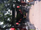 12 animal path: by globalspirit, Views[177]