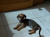 Eddie : by globalspirit, Views[138]