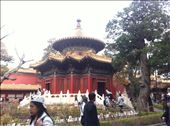 inside Forbidden City's garden, Beijing, China: by globalspirit, Views[101]
