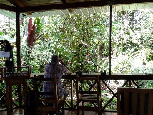Rob mastering the art of photographing incredibly quick hummingbirds.