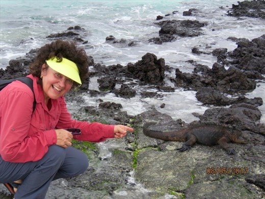 Excited over first Iguana sighted.