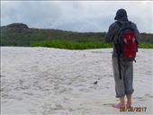 Rob photographing a Darwin Mockingbird up close.: by globaltracks, Views[246]