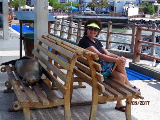 Galapagos sea lions were lying everywhere in port.