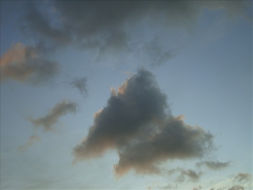 Beautiful Bday Butterfly Over Honolulu 12-13-12