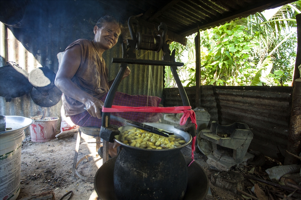 Cocoons are boiled to ease the silk threads out. Pimnipa Pasakanon squints in the acrid smoke from her small wood-burning stove while performing the process. Doing it for the upteenth time, she's skilled and swift. If not for the irritating fumes and the fierce heat, she would have finished in time to serve the boiled silkworms for breakfast. 