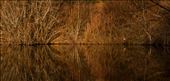 Reflected Nature: by glorianietophoto, Views[315]