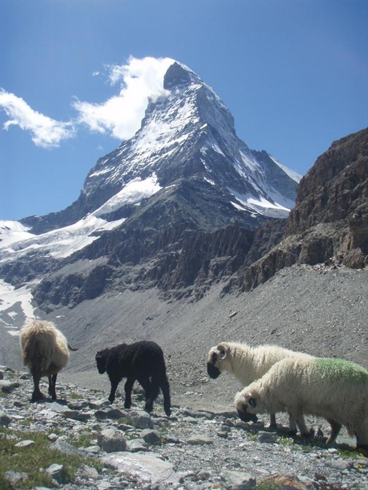 getting there .. ..}}  matterhorn 