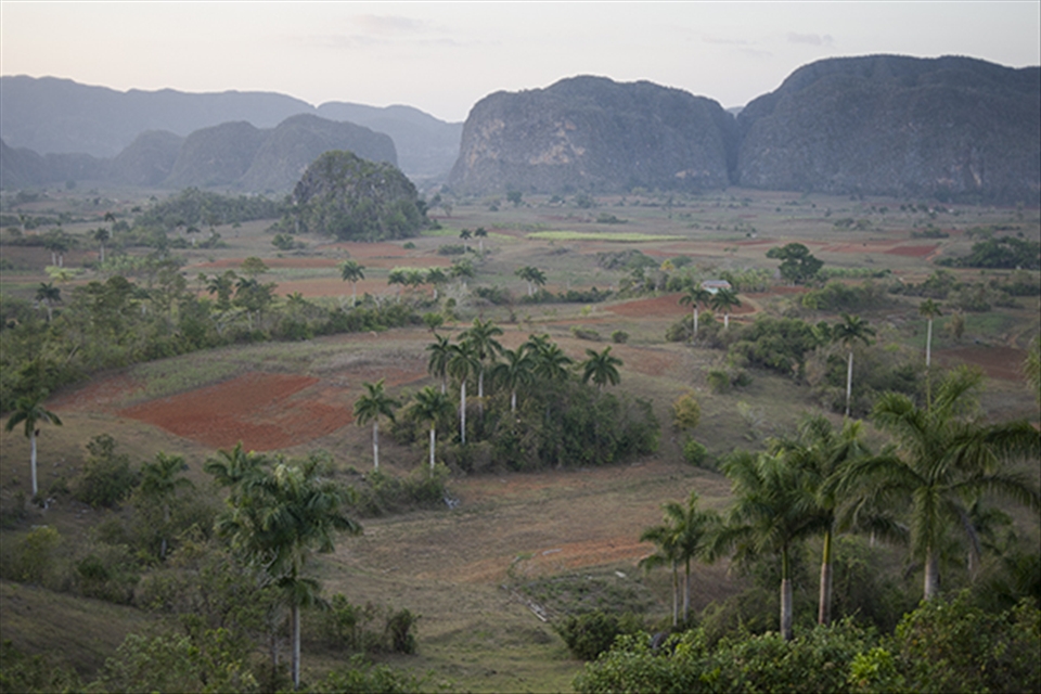Valle de Viñales, a UNESCO World Heritage Site approx 180km south west of Havana. It is a popular spot for climbers and travellers, yet farming and village life seem untouched by time.