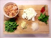 Kai Phat Krapow Ingredients: by glutenfreedom, Views[322]