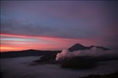 Sunrise over Bromo Tengger Semeru National Park. To the left Mt Bromo steams in the early morning cold air while Mt Batok, the only non active volcano in the park, is the perfect volcano cone in the foreground. In the distance the highest peak on Java, Mt Semeru, can be seen.: by gmasters, Views[443]