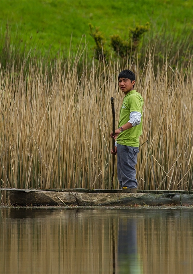 Decades ago, the Mapuches from Budi Lake didn´t like when 