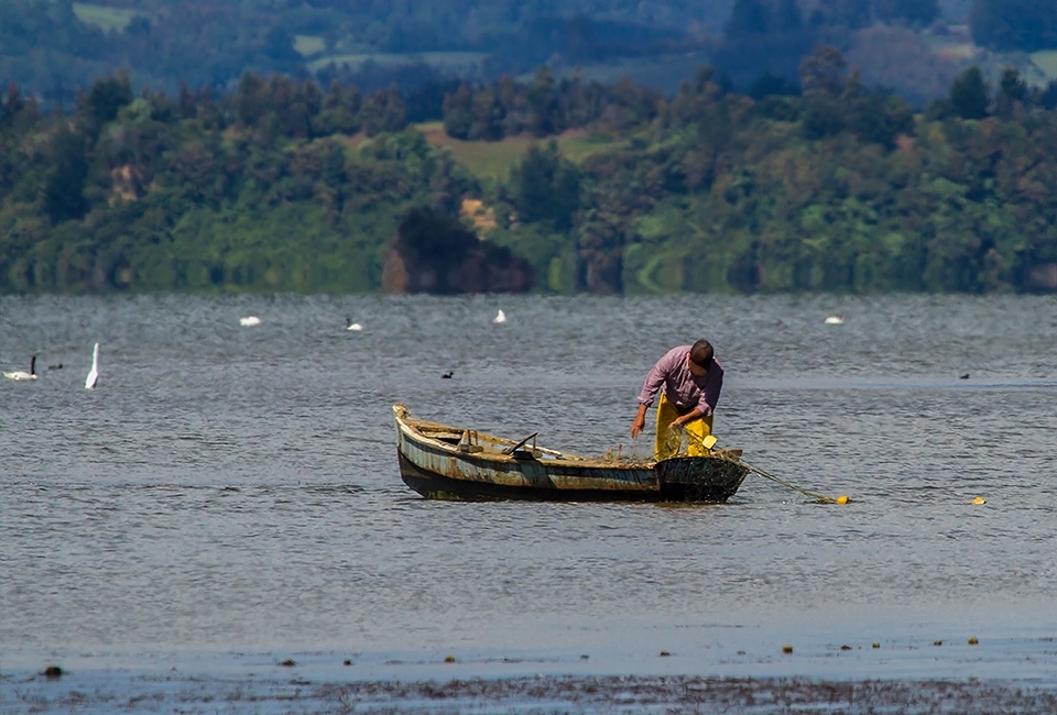 Fishing is a daily activity for the local people. The Mapuches from Budi Lake (native people from Chile) are
the only ones who are allowed to fish in the lake.