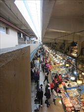           노량진 수산시장 
    Noryangjin Fisheries   
       Wholesale Market: by gnocchimandu, Views[532]