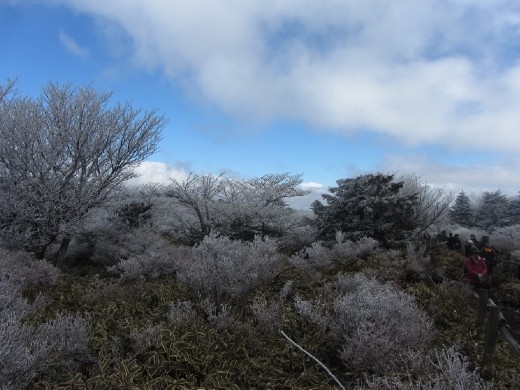 Hallasan mountain (한라산)