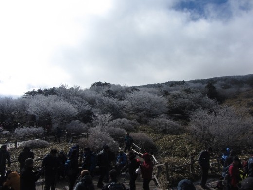 Hallasan mountain (한라산)