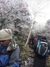 Hallasan mountain (한라산): by gnocchimandu, Views[242]