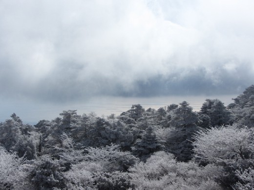 Hallasan mountain (한라산)