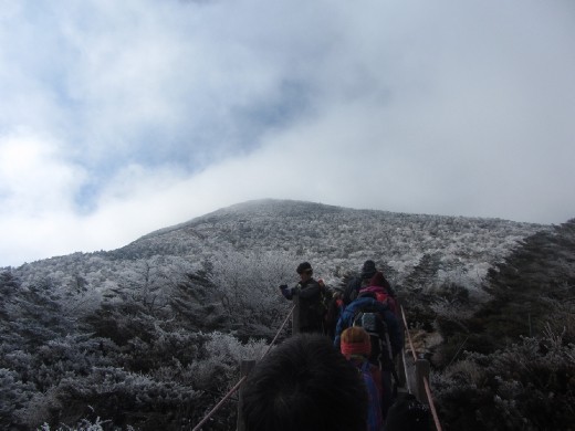 Hallasan mountain (한라산)