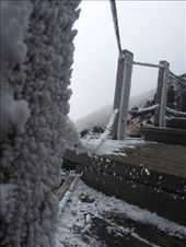 See the cold. 

Hallasan mountain (한라산): by gnocchimandu, Views[375]